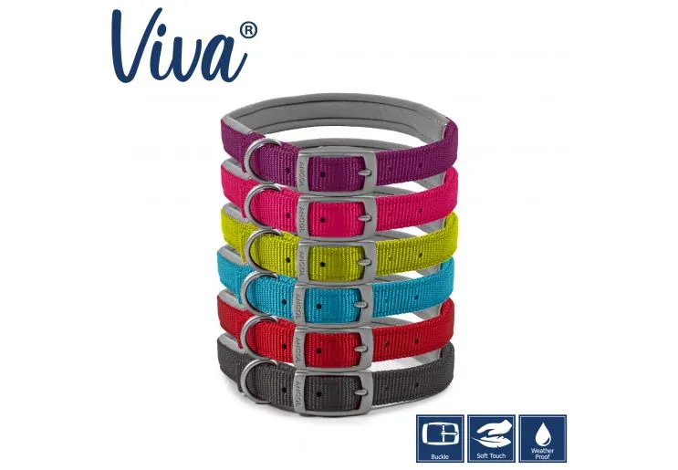 Ancol - Viva Nylon Padded Buckle Collar - Purple - Size 6 (45-54cm)