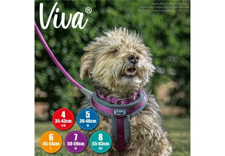 Ancol - Viva Nylon Padded Buckle Collar - Purple - Size 6 (45-54cm)